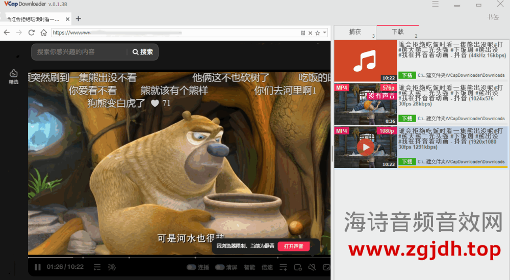 VCap Downloader(音视频下载工具)V 0.1.38
