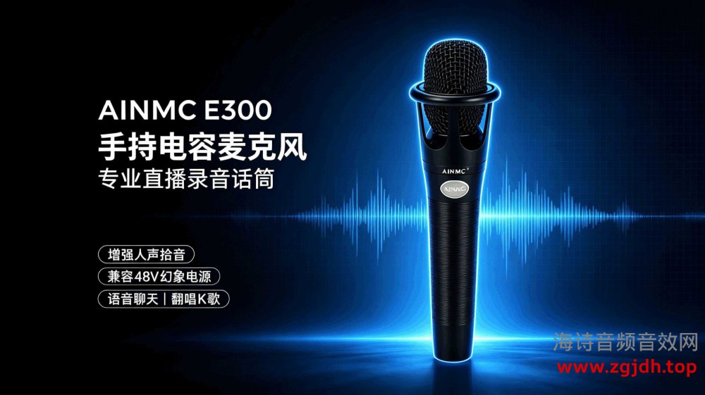 AINMC E300手持麦克风48V电容麦网红推荐
